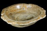 Petrified Wood Bowl - Indonesia #176229-1